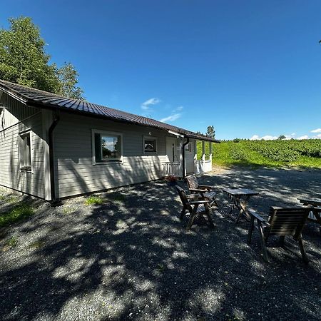 Maatilamatkailu Jaenisvaara Kolinkylä Exterior foto