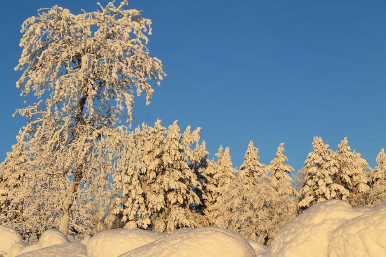 Maatilamatkailu Jaenisvaara Kolinkylä Exterior foto